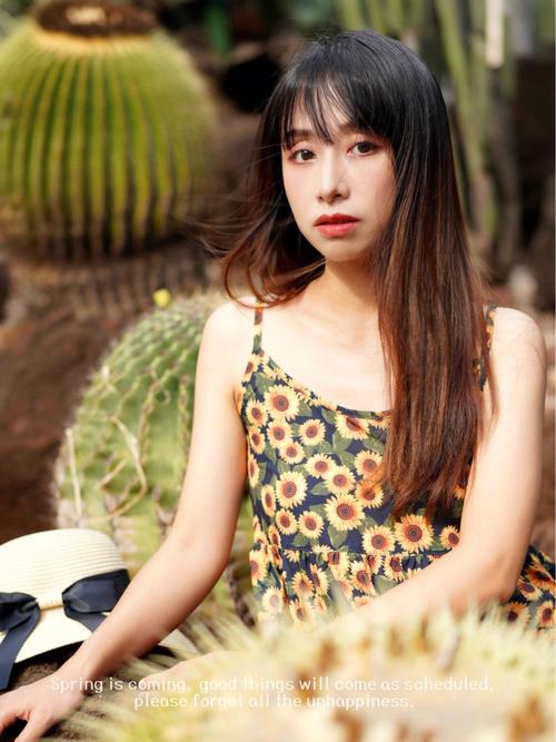 孕妇梦见仙人掌生男女怎么解释