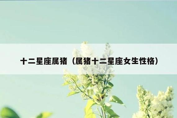 属猪处女座女生的性格分析