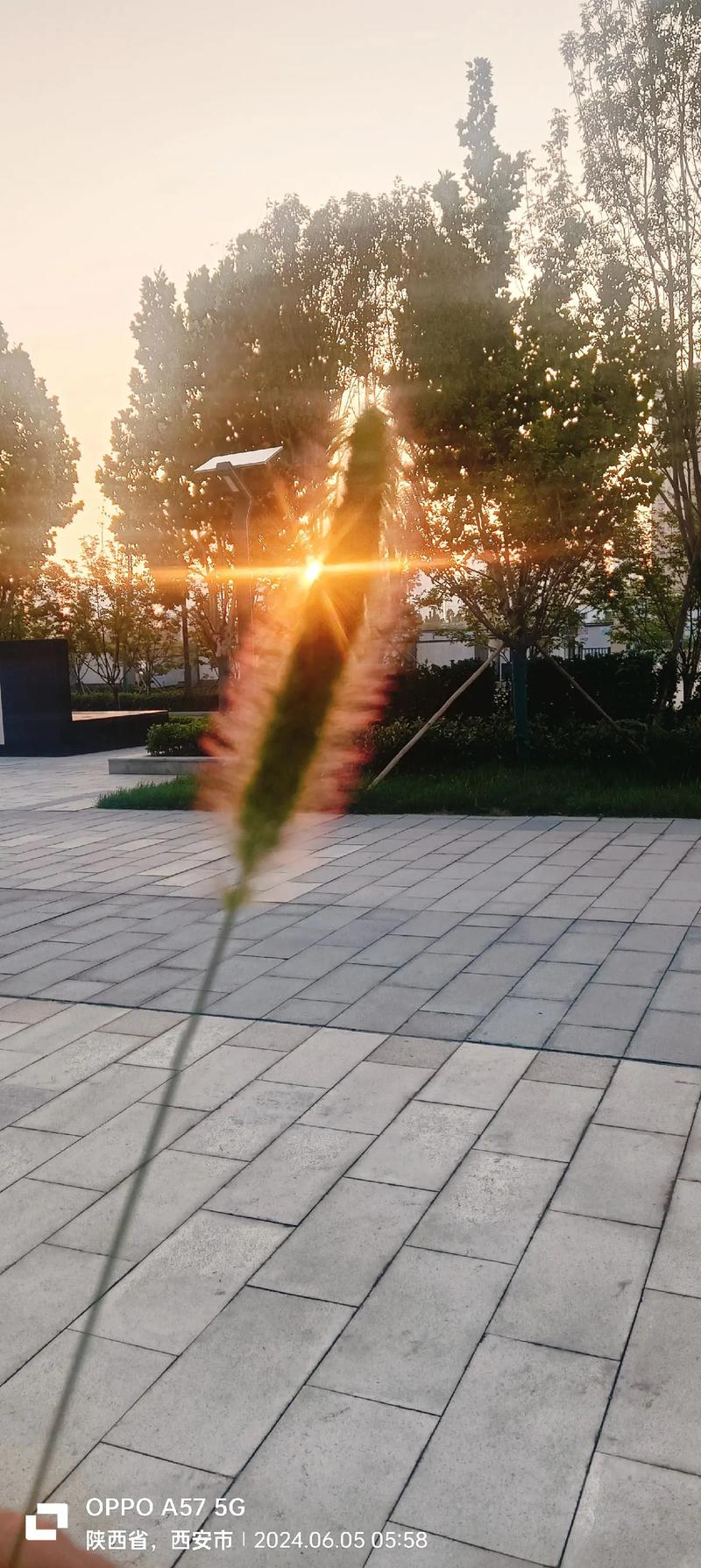 床铺晒到第一缕阳光好吗