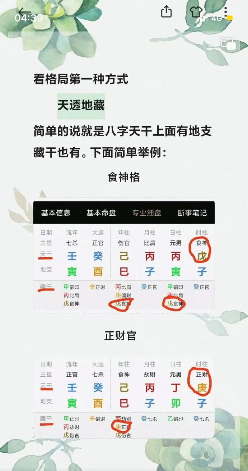 食神格运势 食神格的人读书差吗
