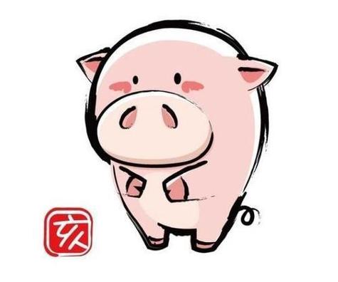 1995属猪的2021年运势怎么样