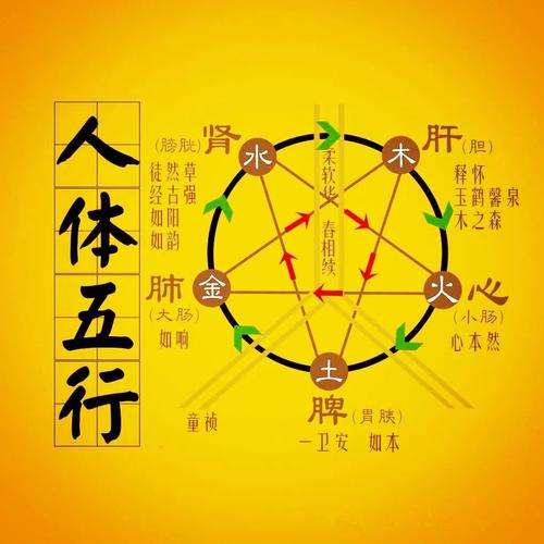 教你巧妙利用五行风水选称心手机(图文)