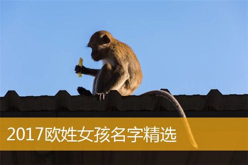 欧姓女孩起名字