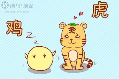 这五个属相女性最会勤俭持家