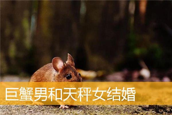 巨蟹男和天秤女能结婚吗