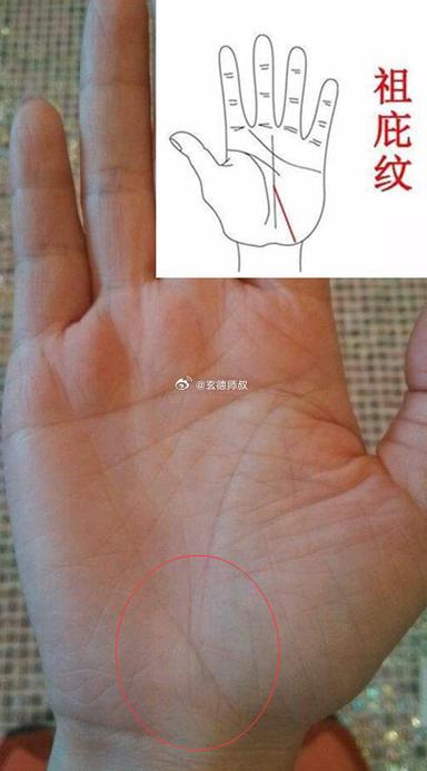 手相图解：祖庇纹
