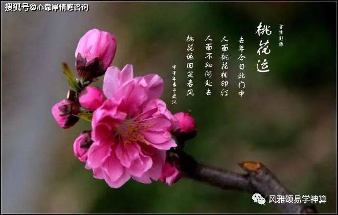 女人的婚姻命理之女性的桃花运与魅力