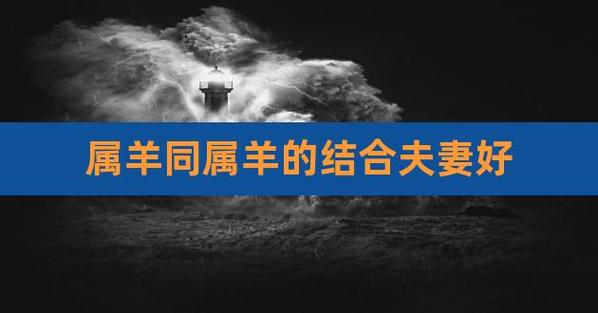 两口子都属羊好吗