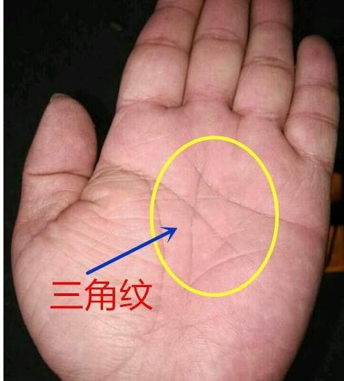 注定发达的男人手相