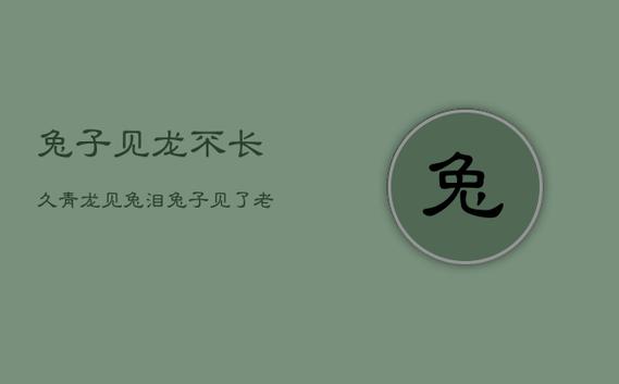 兔子见龙不长久