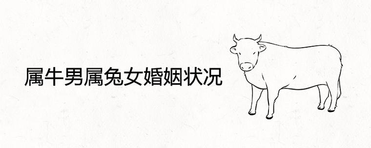 属牛男和属兔女属相相合吗?两者结婚会相亲相爱吗?