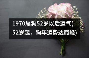 1970年52岁出生属狗女命2022年下半年运势如何
