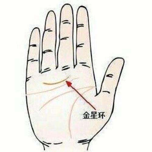 手相金星丘发达的人异性缘旺