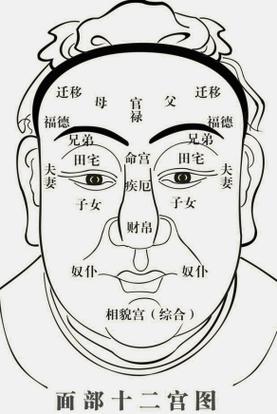 天同星在田宅宫