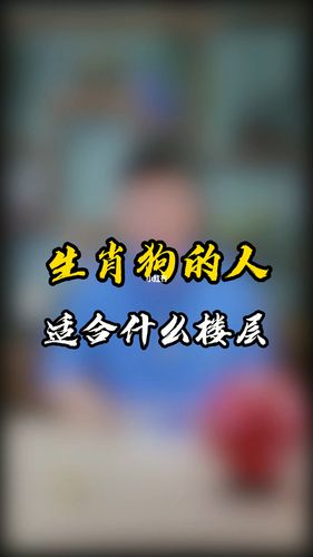 生肖狗-生肖命理