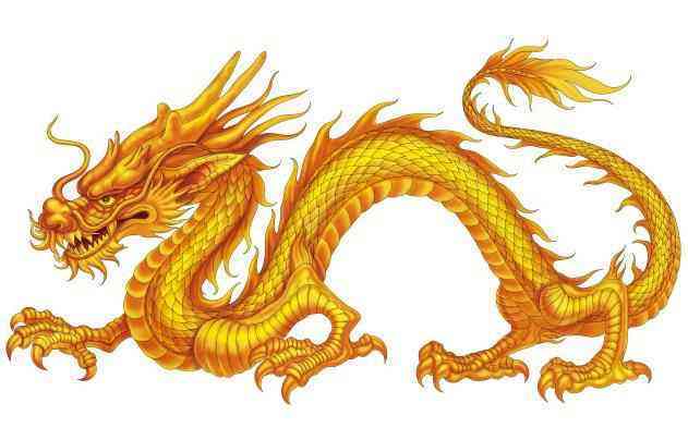 易有家暴倾向的生肖龙