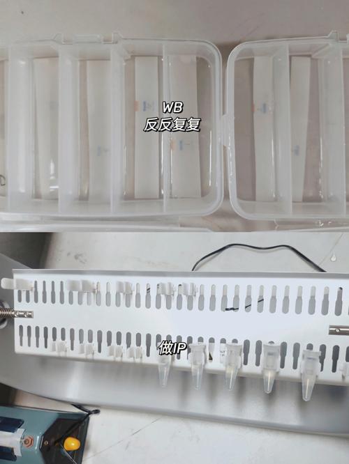 梦见别人送肉到家