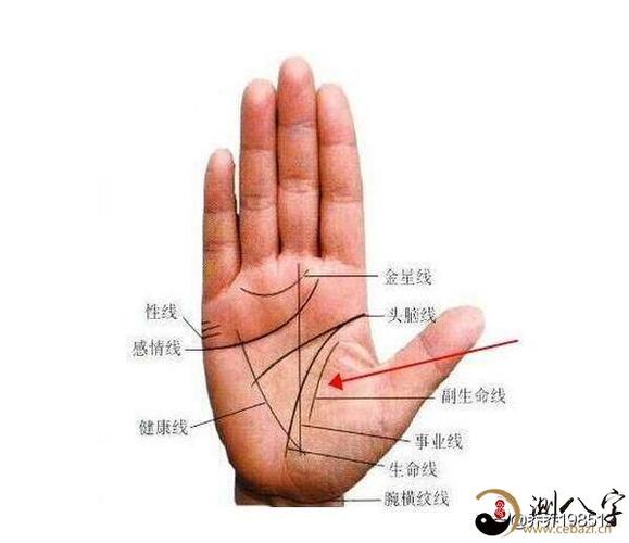 手相图解女生花心的手纹