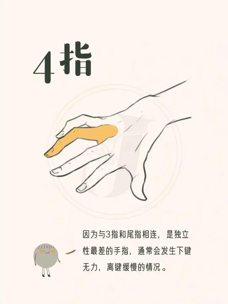 五个手指头长短的说法