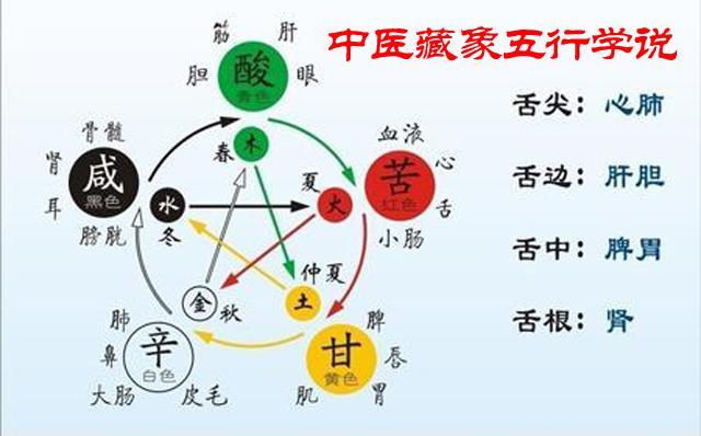 五行断性情方法,五行断性情口诀