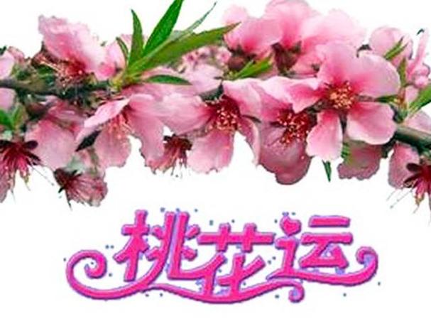 帮你“招惹”桃花的好风水