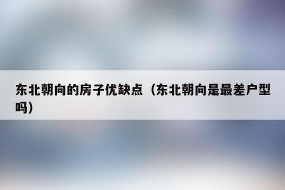 买了东北朝向后悔了