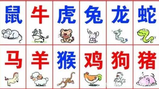 千年等一回是什么生肖