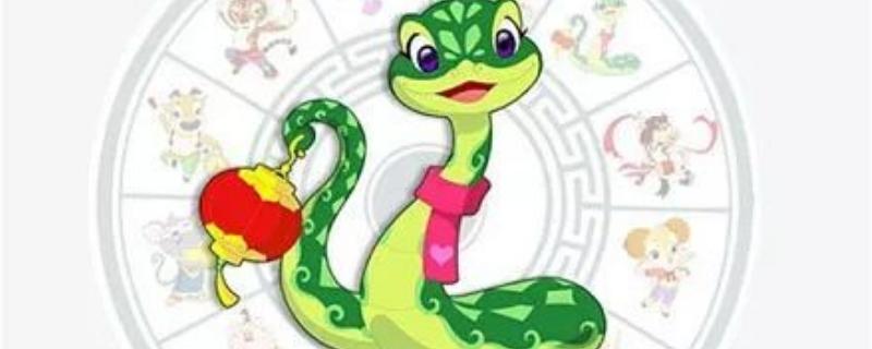 无所顾忌 处事胆大妄为的生肖是他们