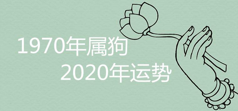 属狗会用人生第一份工资做什么