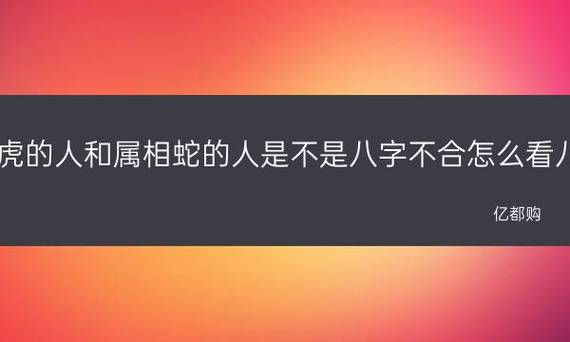 属相虎的人和属相蛇的人是不是八字不合?怎么看八字?
