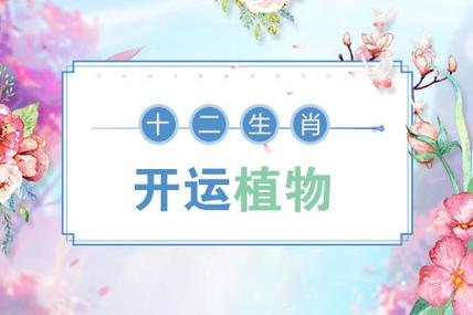 十二生肖光棍节如何过能开运