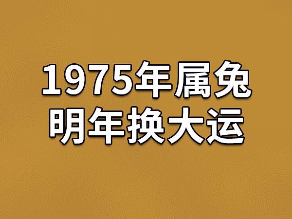 1975属兔2020年46岁以后运气