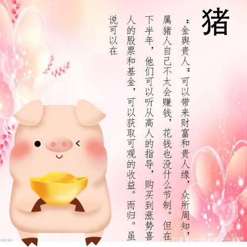 生肖猪2021年下半年运势大全