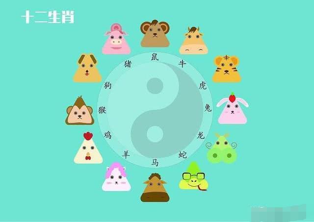 智商高于一般人的生肖