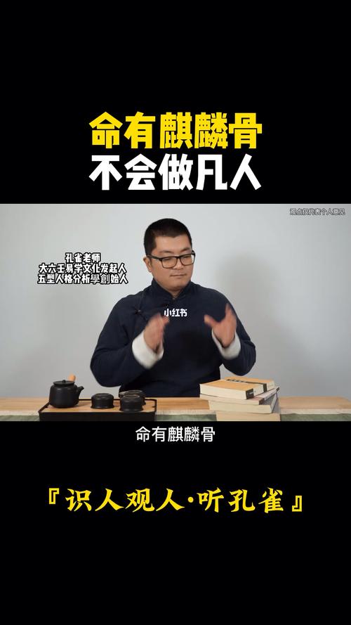 命有麒麟骨,不会做凡人