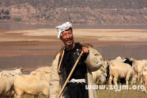 梦见自己放羊是什么意思