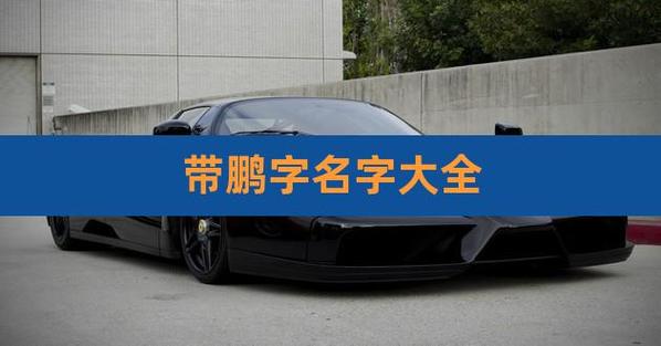 男孩起名字 什么鹏的