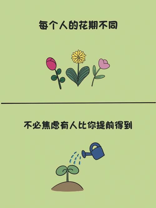 属猪人疗情伤最好的治愈方式