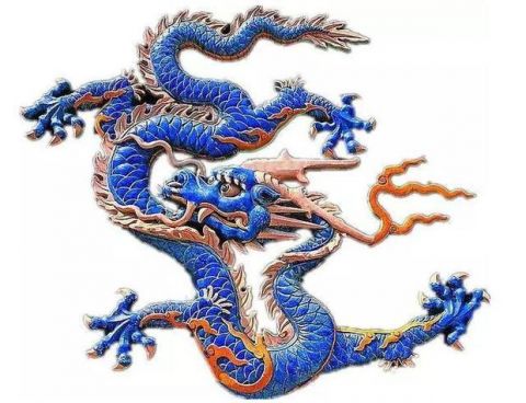属龙缺爱指数大盘点