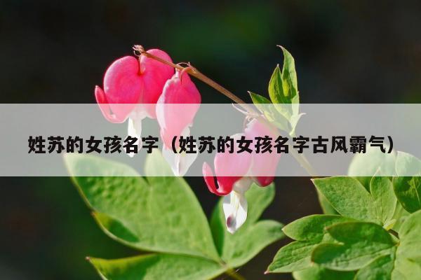 苏姓古风两个字名字女