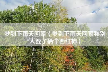 梦见雨水进家里