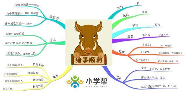 三个生肖思维非常活跃，总是不按常理出牌，喜欢做自己