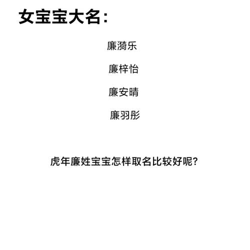 名字响亮好记的廉姓男孩名字