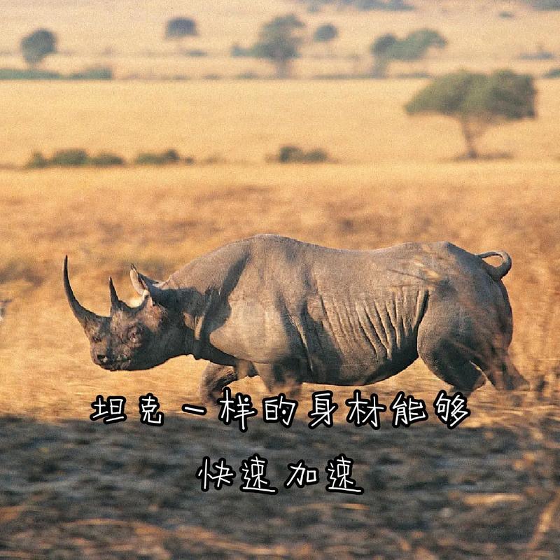 梦见犀牛攻击人