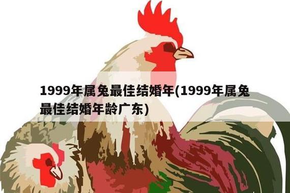 生肖兔什么时候结婚最好