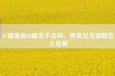 87年的兔和88年的龙婚姻状况