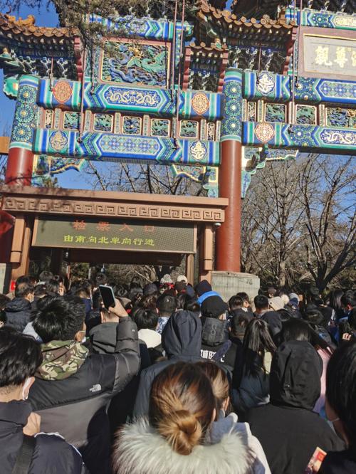 腊月初一出生的男孩当官
