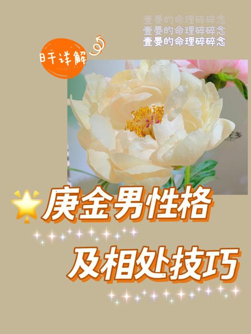 庚金男喜欢什么性情的女生