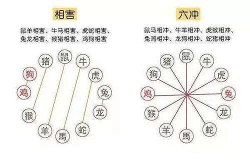 生肖相刑的形式有哪些