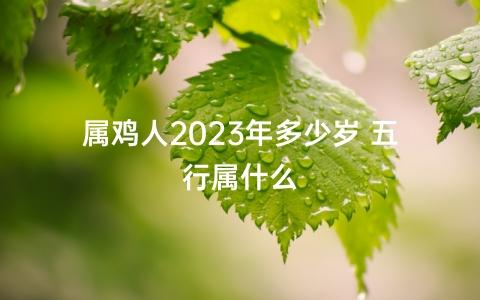 今属鸡明属什么,属鸡人在2023年的全年运势怎么样?